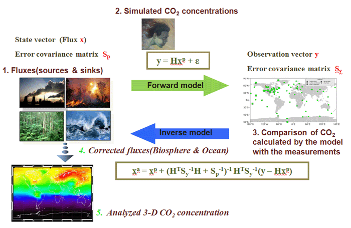 Procedures of CarbonTracker.H is a Operator representing atmospheric transport.X^a and X^p are the estimated and a priori flux, respectively