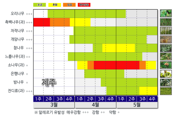 제주 꽃가루 날림 시기 달력