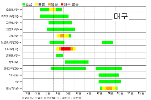 대구 꽃가루 날림 시기 달력