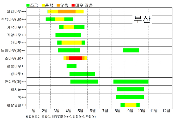 부산 꽃가루 날림 시기 달력