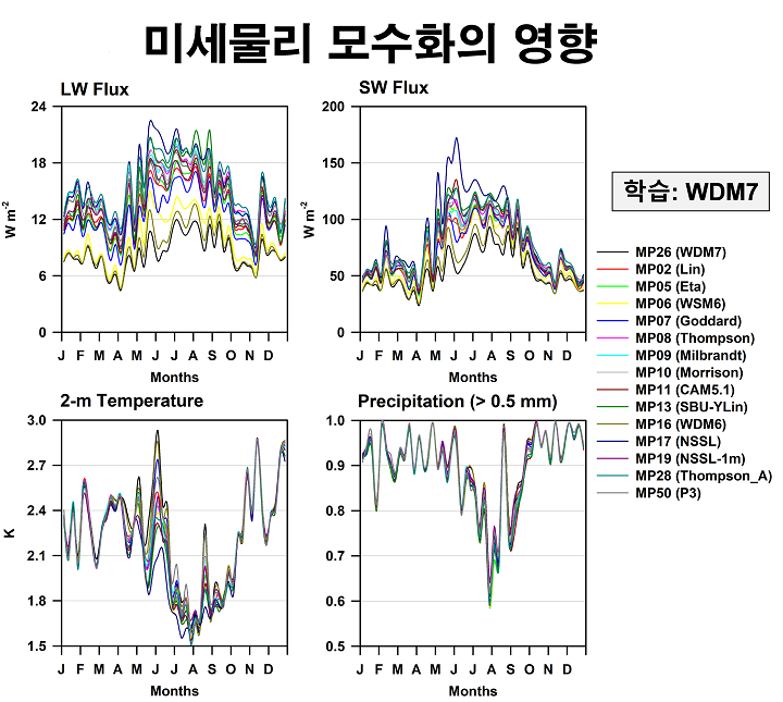 미세물리 모수화의 영향