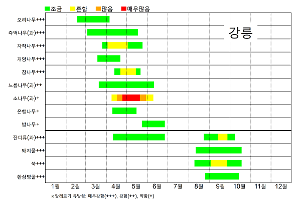 강릉 꽃가루 날림 시기 달력
