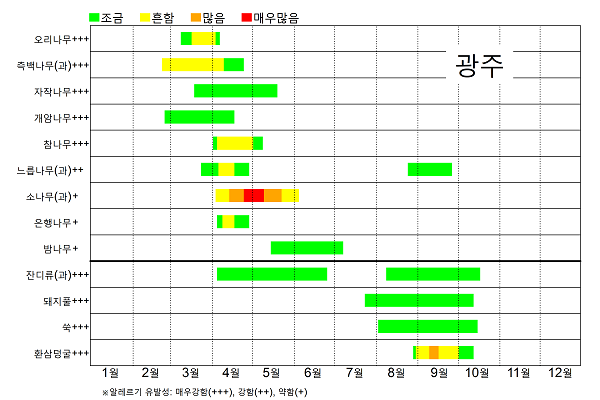 광주 꽃가루 날림 시기 달력