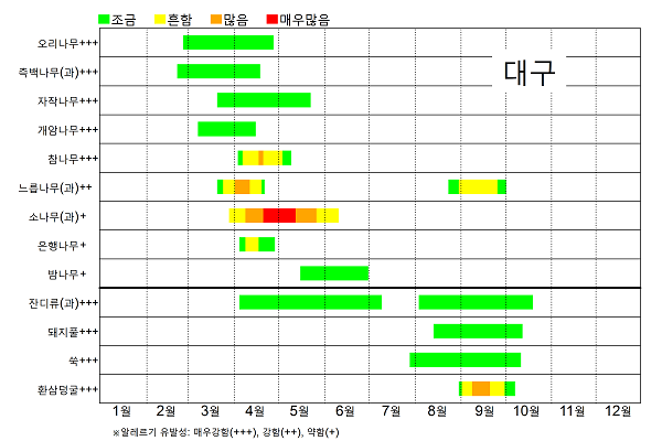 대구 꽃가루 날림 시기 달력