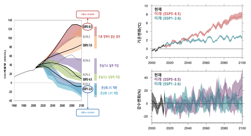 Developing climate change scenario production system and study on climate process