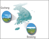 picture 2. Meteorological Observation