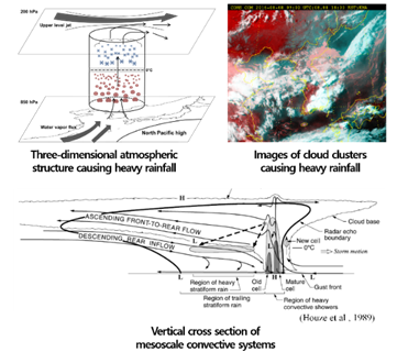 Schematics of a mesoscale convective system and its satellite image